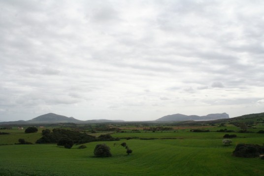 sardegna_green sardegna_green