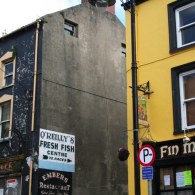 IMG_5567 IMG_5567