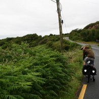 IMG_5637 IMG_5637