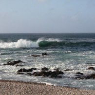 IMG_5874 IMG_5874