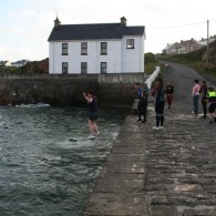 IMG_5877 IMG_5877