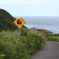 IMG_5933 IMG_5933