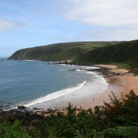IMG_5935 IMG_5935
