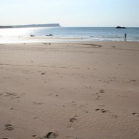 IMG_6082 IMG_6082