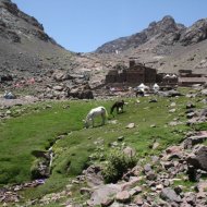 IMG_5160