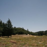 IMG_5633