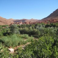 IMG_8625