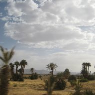 IMG_8693