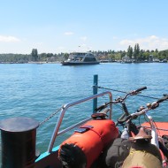 IMG_0558
