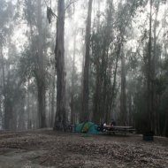 IMG_2833