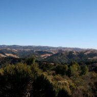 IMG_2845